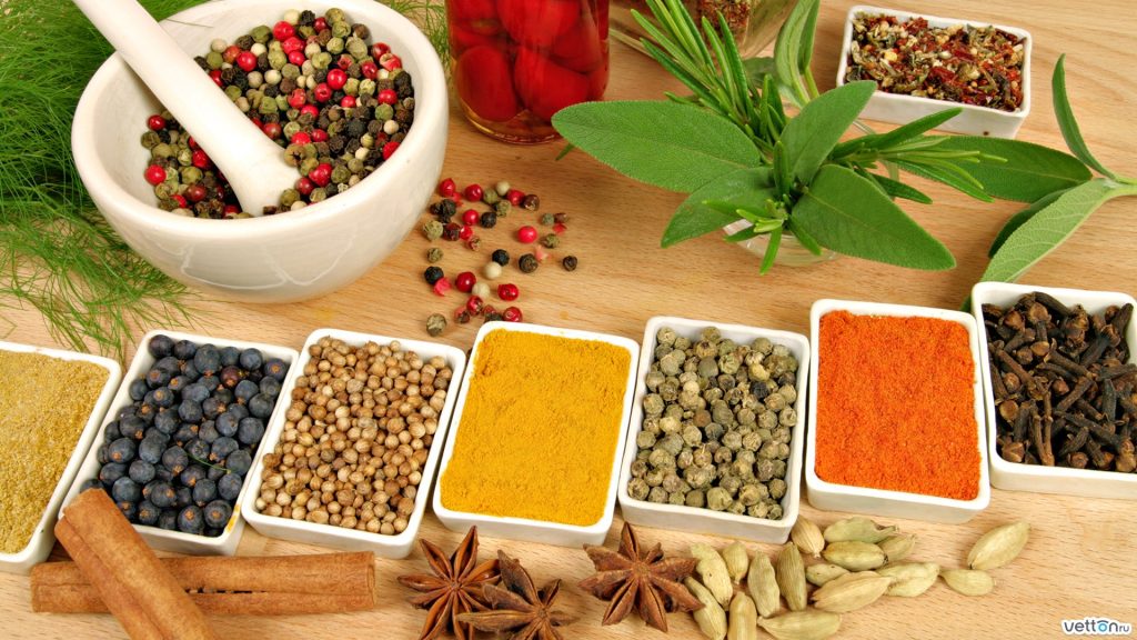 Ayurvedic PCD Companies In Maharashtra 1