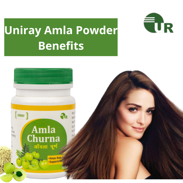 Amla Powder Manufacturer In India