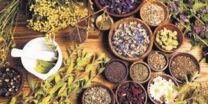 Ayurveda Cosmetic Manufacturers in India