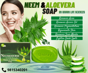 best herbal soap for skin in India
