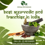 Ayurvedic Pharma Franchise in Madhya Pradesh