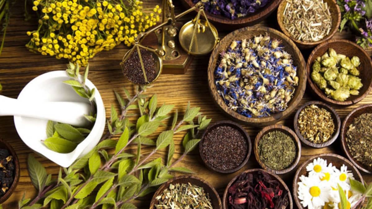 Top Ayurvedic Medicine Manufacturers In Surat Top Ayurvedic Medicine Manufacturers In Surat