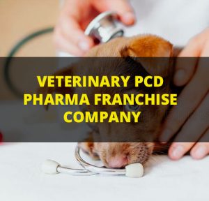 Top Veterinary PCD Companies in India