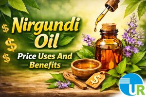 Nirgundi Oil Price Uses And Benefits