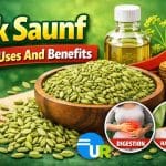 Ark Saunf Prices Uses And Benefits Arksaunf benefitsusesandprices