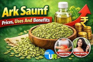 Arksaunf benefitsusesandprices