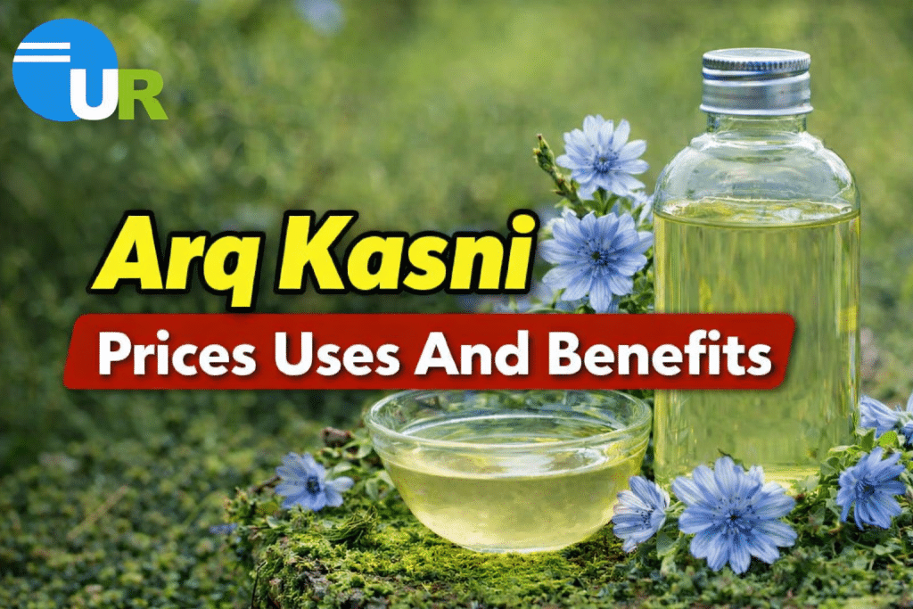 Arq Kasni Prices Uses And Benefits