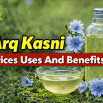 Arq Kasni Prices Uses And Benefits
