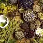 Ayurvedic PCD Company in Indore 1