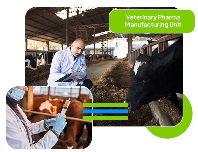 Manufacturing Veterinary
